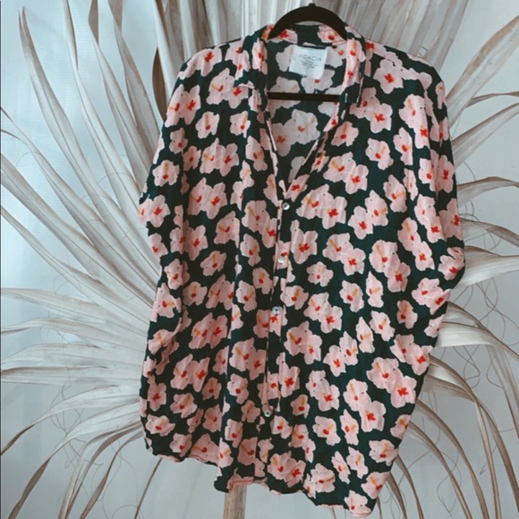 ❌SOLD❌acacia | Mombasa x Mahalo - Picture 2 of 4